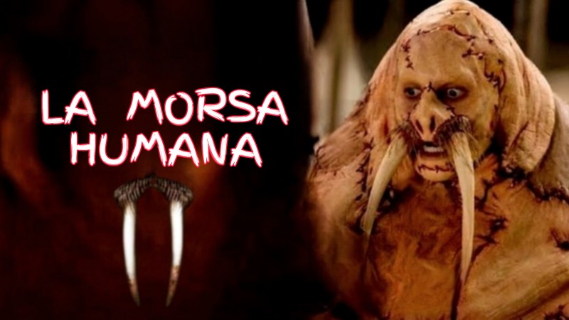 Homem transformado em morsa 😲 🍿 Filme: Tusk #filmedeterror #Terror #