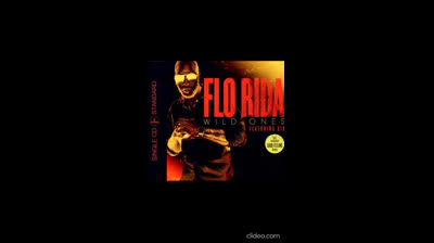Flo Rida ft. Sia - Wild Ones (Extended Version)